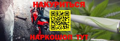 шишки Жуковский