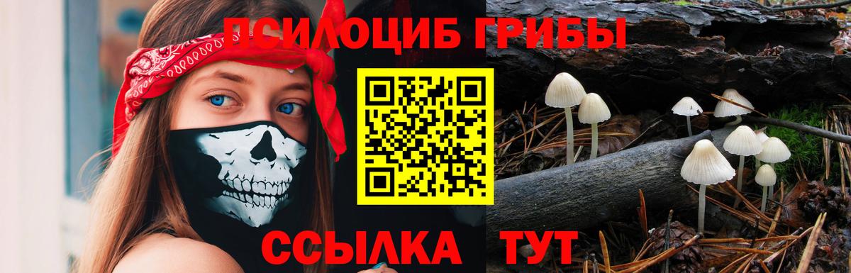 Лабинск  Псилоцибиновые грибы Cubensis  Псилоцибиновые грибы Cubensis  Вход с VPN 