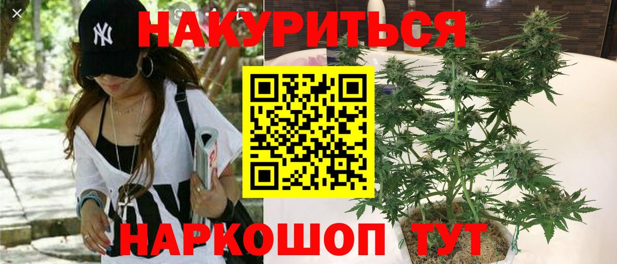 МАРИХУАНА ГИДРОПОН Лабинск
